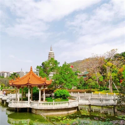 تورهای شیامن